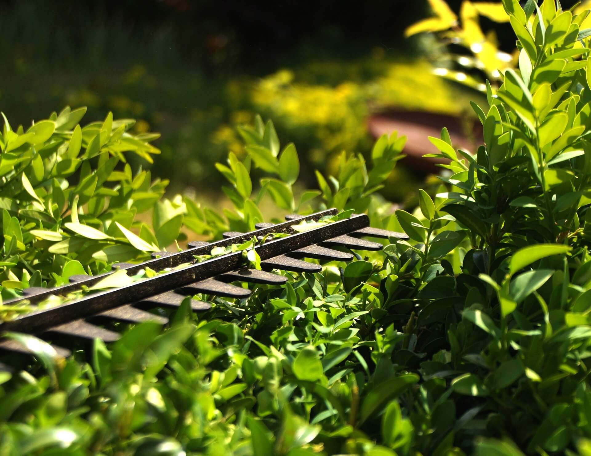 Produits espaces verts chez AVM
